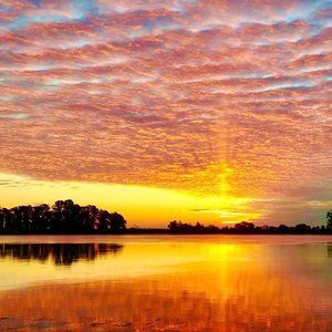 California Golden Sunrise